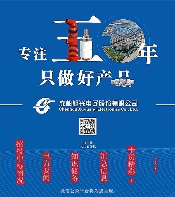 華南電網廣東2019-2020 10kV可拆卸式開關柜國家電網山東首先配電網國家電網寧夏19年物資協議庫流通標準